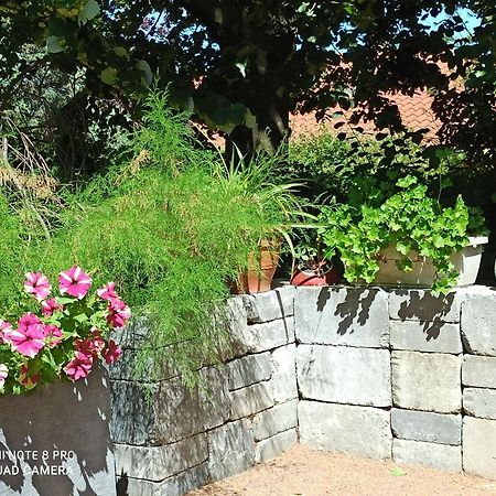 Bed and Breakfast Erable Pourpre Saint-Georges-Haute-Ville Екстер'єр фото